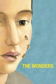 The Wonders 2014