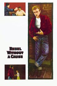 Rebel Without a Cause 1955