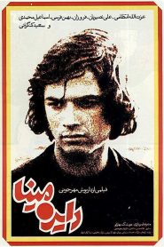 The Cycle 1978