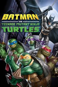 Batman vs Teenage Mutant Ninja Turtles 2019