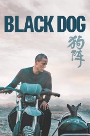 Black Dog 2024