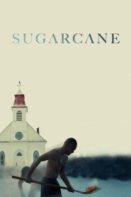 Sugarcane 2024