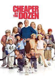 Cheaper by the Dozen 2003