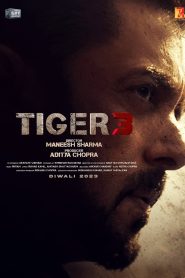 Tiger 3 2023