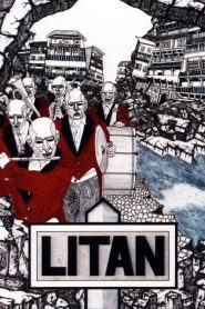 Litan 1982