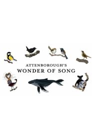 Attenborough’s Wonder of Song 2022