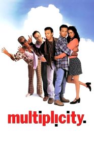 Multiplicity 1996