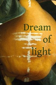 Dream of Light 1992